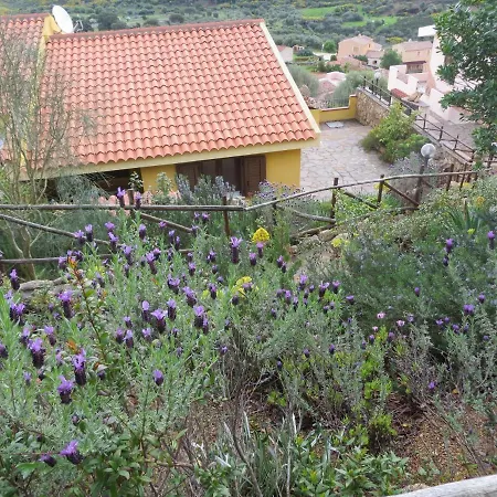 La Tana Della Volpe * Murta Maria