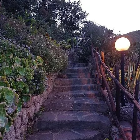 La Tana Della Volpe Lägenhet *